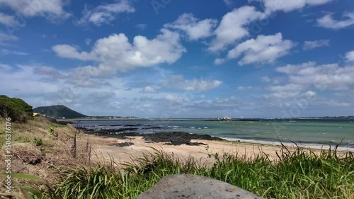 Tranquil Shore with Ocean View and Coastal Grass