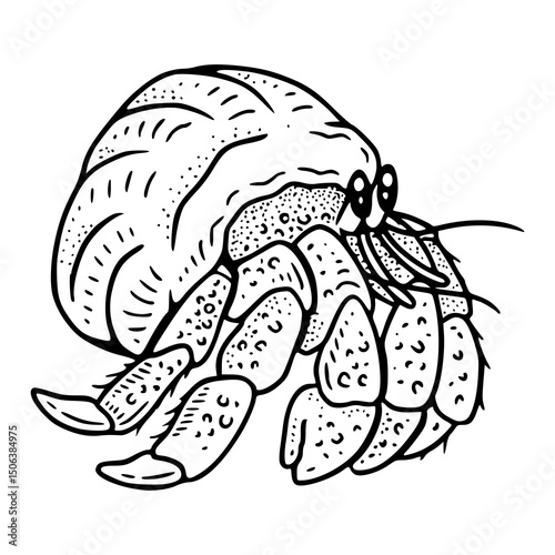 vintage style hermit crab in shell illustration