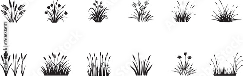 Collection of grass and reed silhouettes, vector isolated botanical elements for nature, wetland, landscape design, black and white clipart.