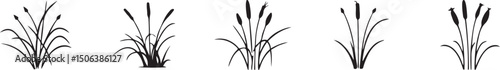 Collection of grass and reed silhouettes, vector isolated botanical elements for nature, wetland, landscape design, black and white clipart.