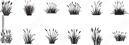 Collection of grass and reed silhouettes, vector isolated botanical elements for nature, wetland, landscape design, black and white clipart.
