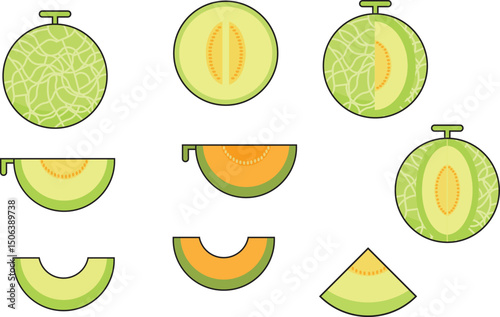 Set of fresh green melon icons, vector illustration fruit melon icons for web, banner and advertising needs.