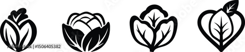 Vector illustration set of cabbage – fresh vegetable design

