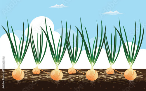 Illustration of a big onion vector. The background is a bright sky.