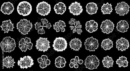 30+ Top View Tree Crowns Landscape Design Vector Graphics Black Backgr