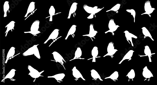 White Bird Silhouettes Collection: 30+ Diverse Poses Black Background