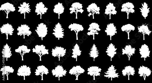 40 White Silhouette Tree Vector Graphics Nature Clipart Forest Design 