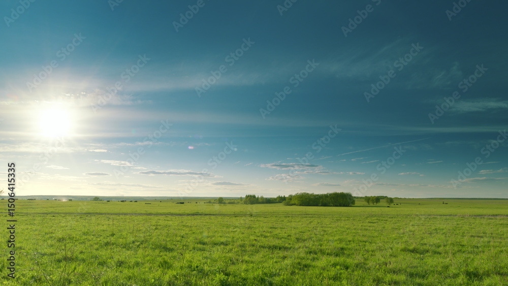 Obraz premium Expansive, Vast Green Fields Spreading Out Under a Beautiful, Bright Blue Sky Above Time lapse.
