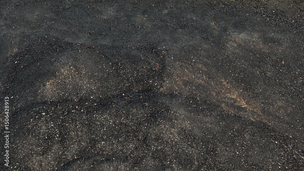 Obraz premium An aerial view of various glass particles, highlighting the organized process in which glass waste is separated and prepared for the production of new glass materials. 