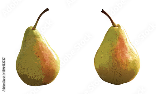 Pears vector isolated on a white background