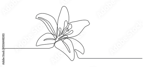 various images