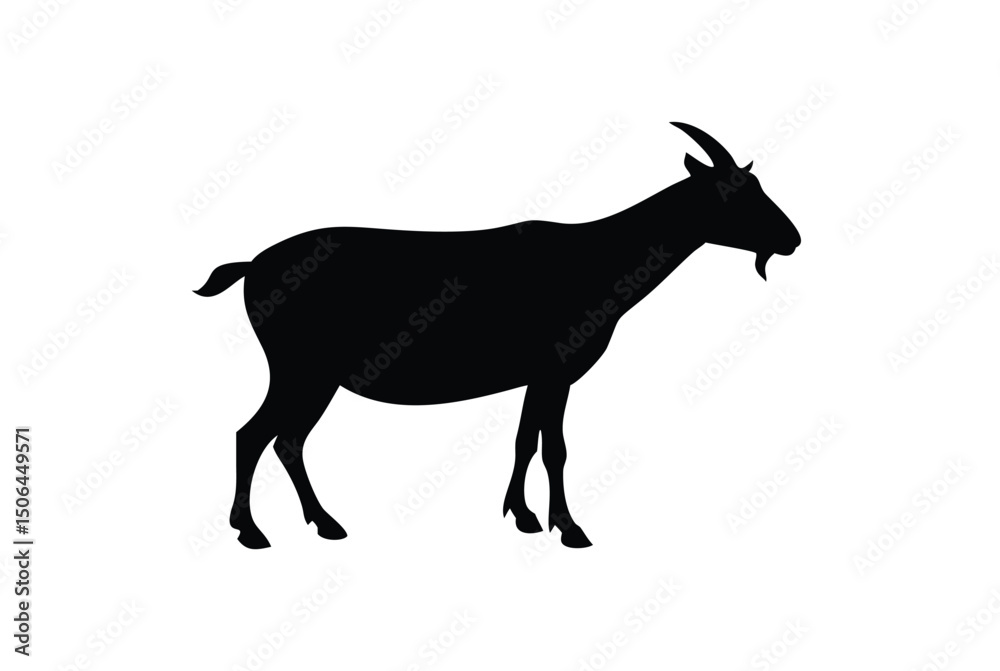 Obraz premium goat on white background