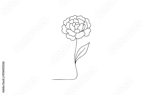 Peony flower continuous one line drawing minimalism design isolated on white