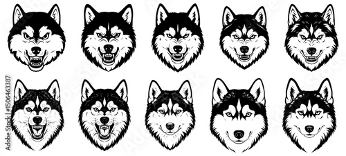 Vector husky dog faces. 