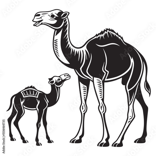 camel vector illustration
