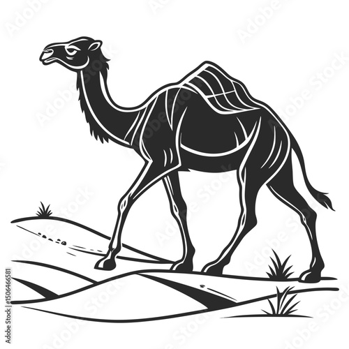 camel in desert