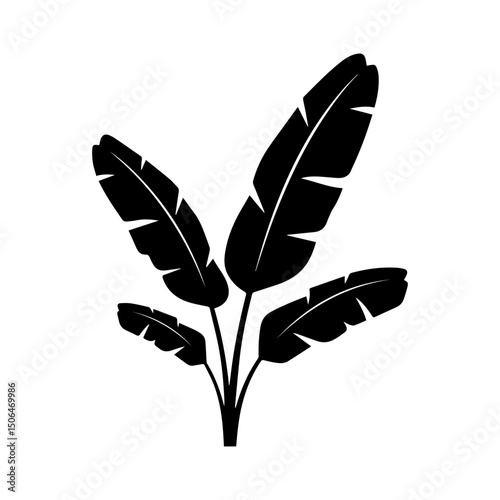 black banana tree icon vector on white background