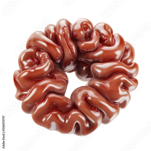 Large Intestine Isolated on Transparent Background Human Digestive System Anatomy photo
