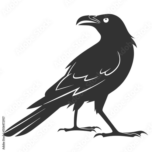 raven on a white background