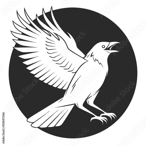 dove on white