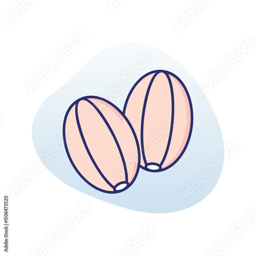 Nutmeg  Vector icon
