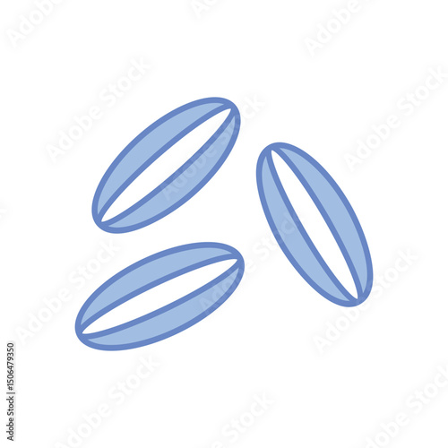 Cumin  Vector icon