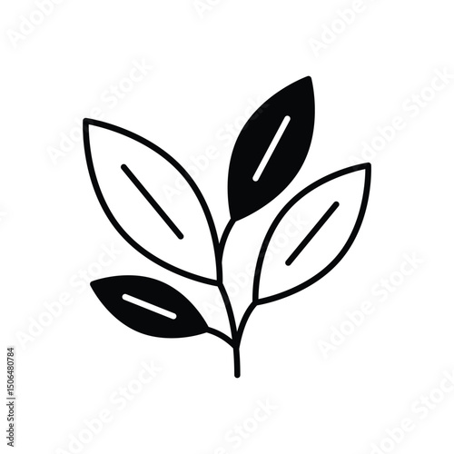 Sage Vector icon