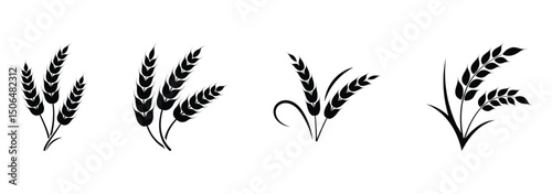 Wheat ear icons set vector silhouettes. Black wheat spikelet vector collection. Set of wheat stalk. Cereal plant silhouettes. Wheat silhouettes. Wheat vector icons. Design eps 10