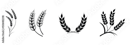 Wheat ear icons set vector silhouettes. Black wheat spikelet vector collection. Set of wheat stalk. Cereal plant silhouettes. Wheat silhouettes. Wheat vector icons. Design eps 10
