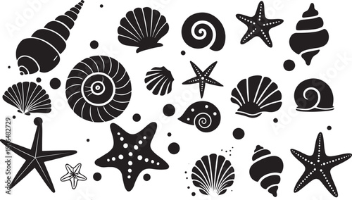 Black and White Seashell and Starfish Silhouette Vector Design