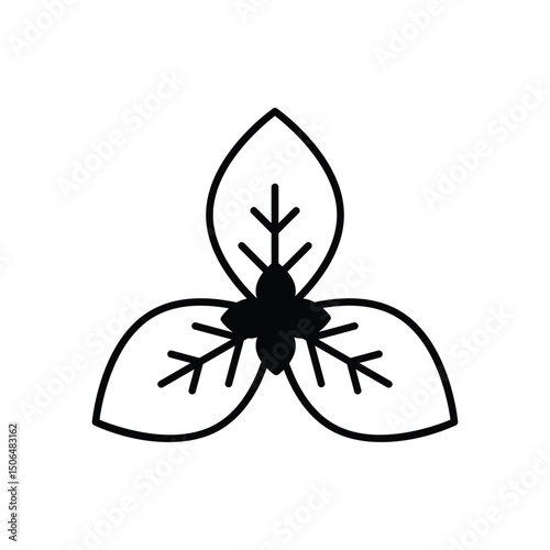 Basil Vector icon