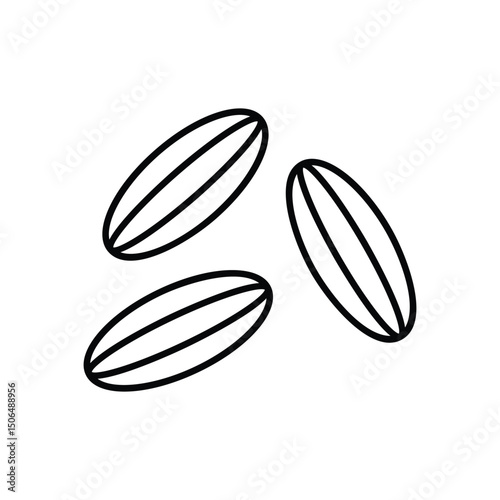 Cumin  Vector icon