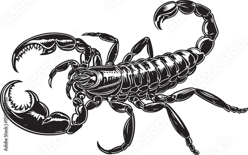 Detailed Black and White Illustration of a Scorpion