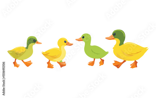 Group of Ducklings Walking Illustration