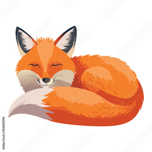 sleep fox animals illustration