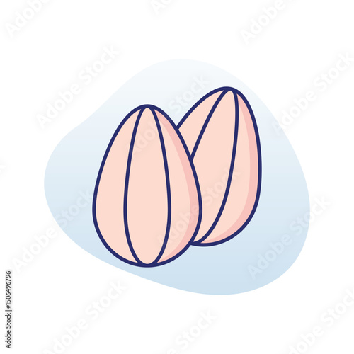 Almond  Vector icon
