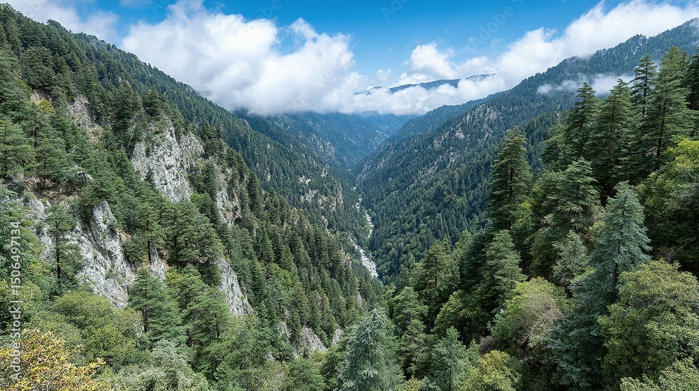 Fototapeta premium Lush mountain valley with dense forests.