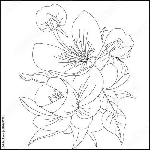 Outline Black and White Handdrawing Illustration Flower and Leaf. Coloring Pages for Kid and Adult
