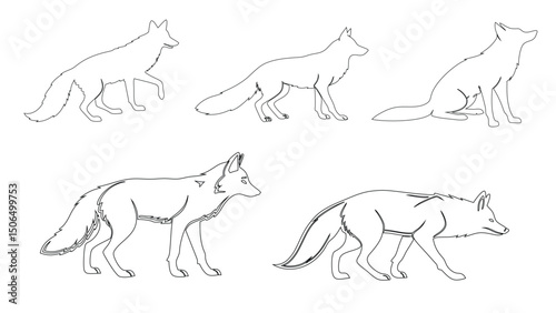 set of fox outline