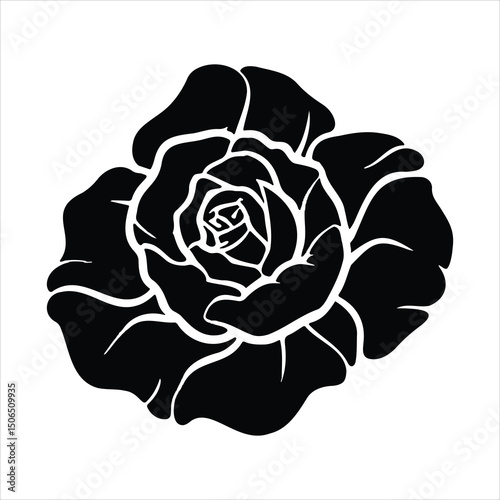Black and white rose vector illustration on a black background