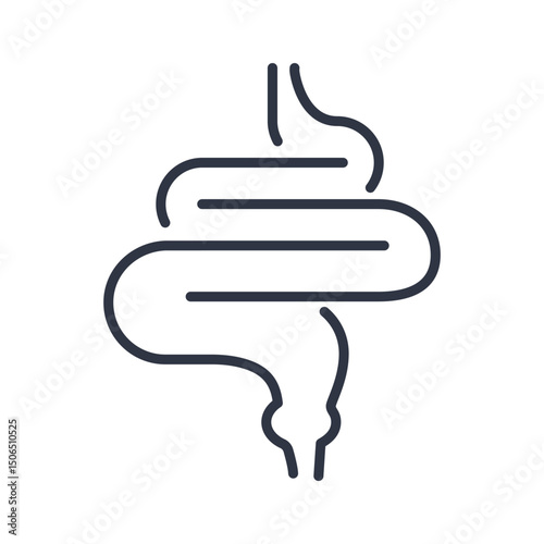 A vector line icon displays the human intestinal tract.  Represents the digestive system and the anatomy of the gut.