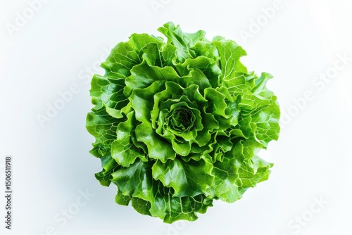 high resolution picture of Green batavia lettuce salad head top view isolated white white