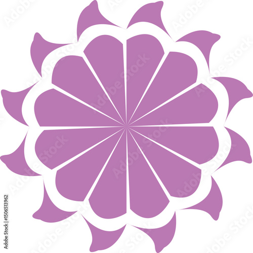 vector illustration of a flower