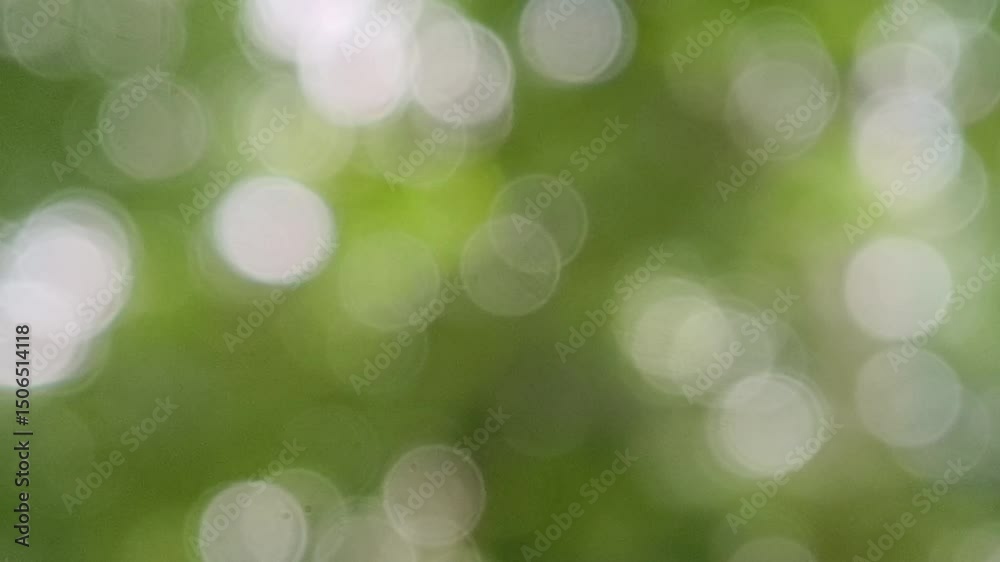Abstract green bokeh blurred background