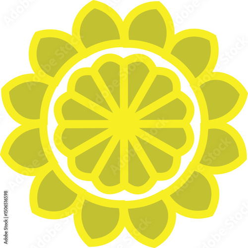 yellow flower on white background