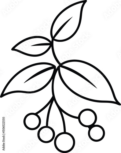 mistletoe (3).eps