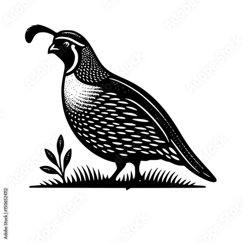California Quail Vintage Icon Logo Black Vector
