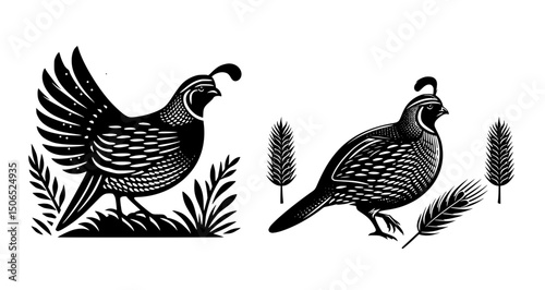 California Quail Silhouette Logo Black White Background