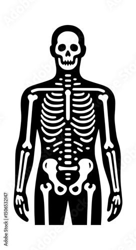 Man Skeleton Full Body Silhouette Icon