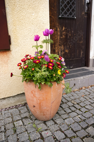 Decorative concrete flower pot at the front door of the house. Spring blooming flowers in a flower pot in front of the house. Floral decoration on the street in front of the house entrance.